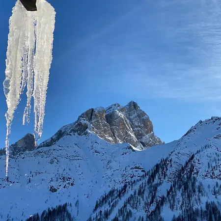 아파트 Piccolo Nido 팔카데