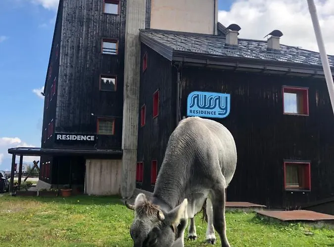 Piccolo Nido Apartamento *